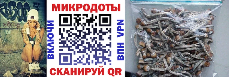 Купить где  Орск  Галлюциногенные грибы прущие грибы 